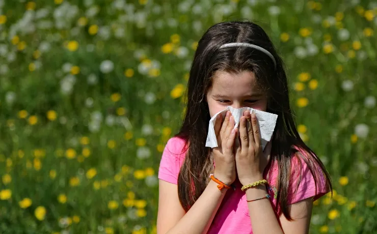 Antihistamines: When to Use Them and When to Avoid